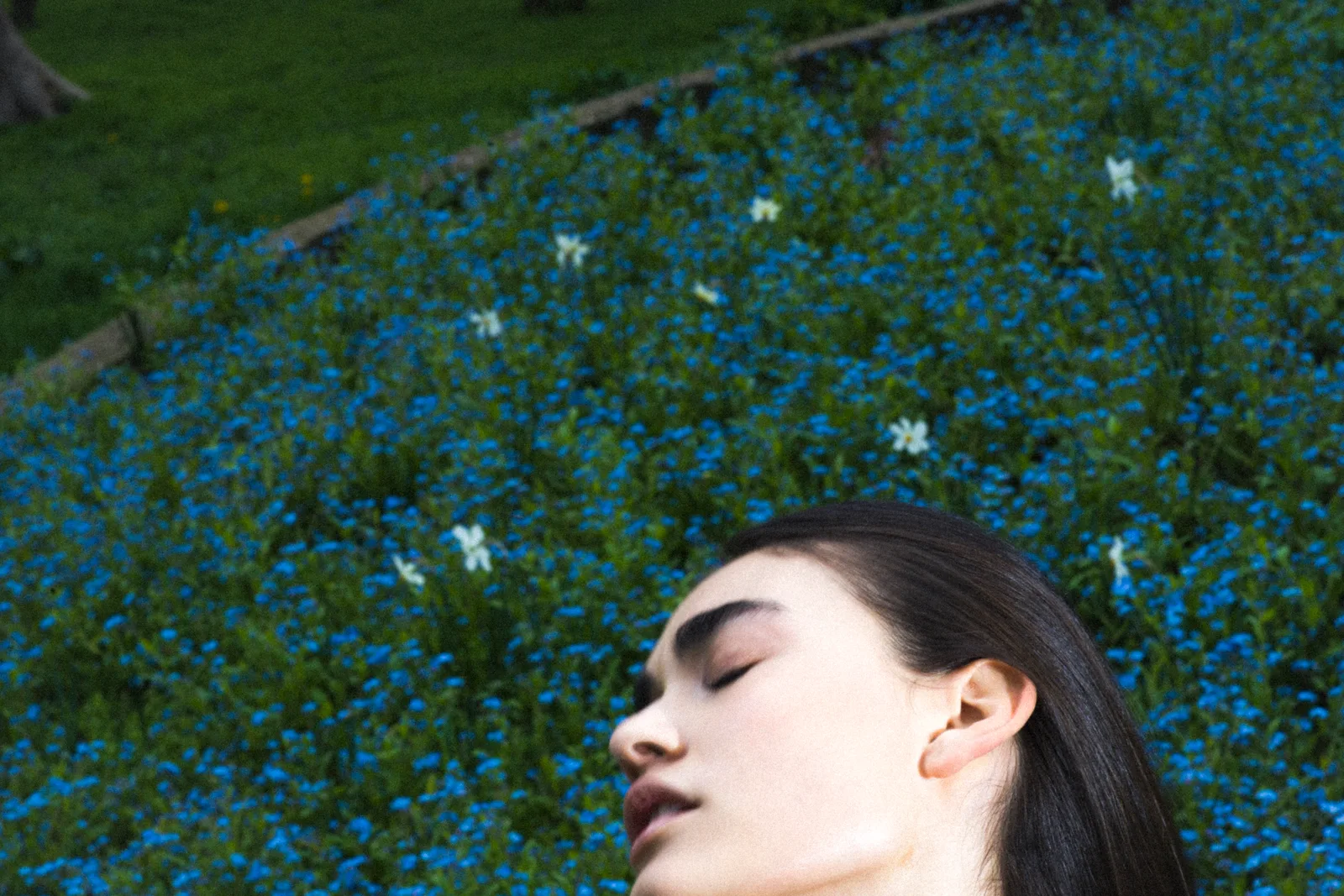 blossom — styling by Ioana Carp