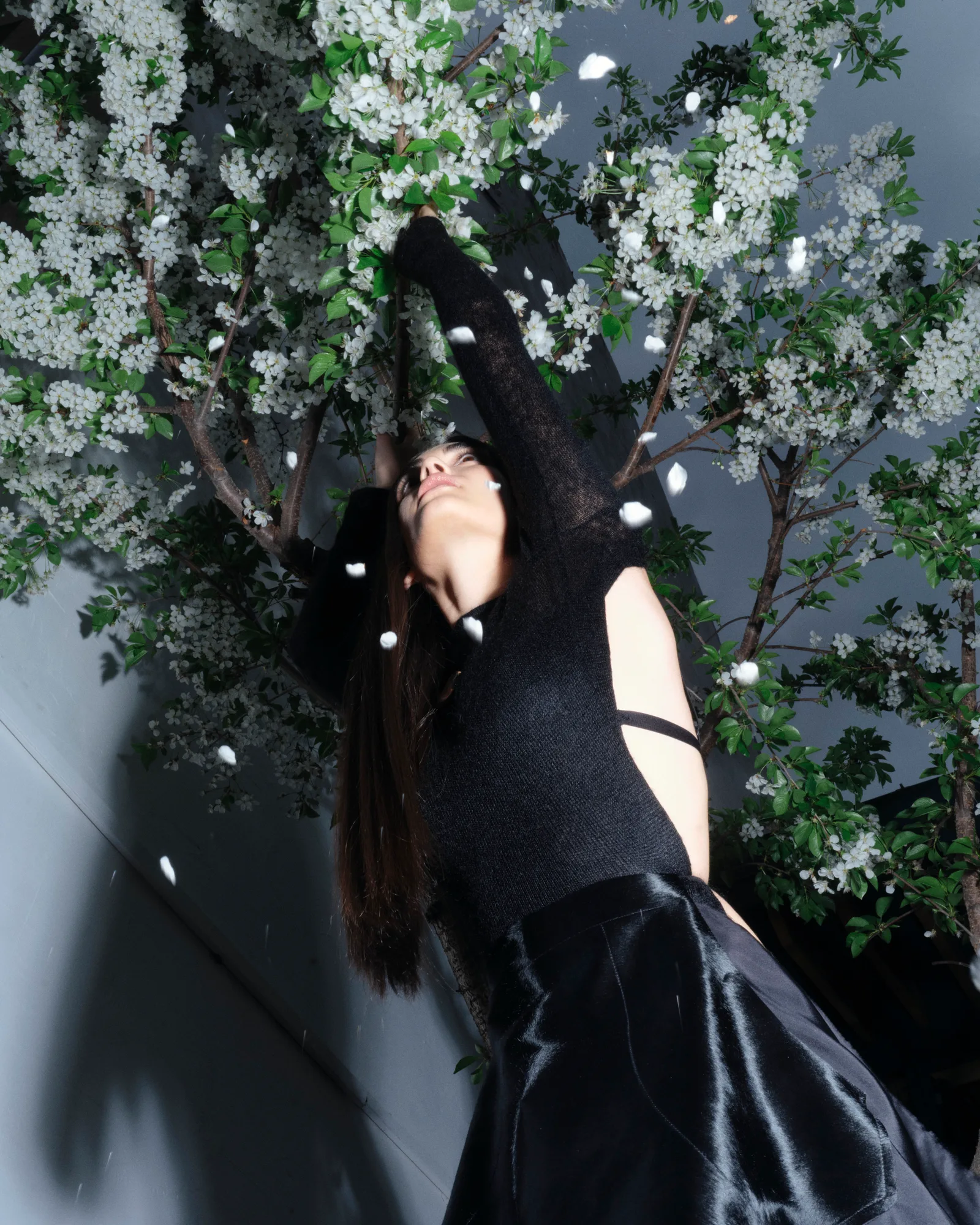 blossom — styling by Ioana Carp